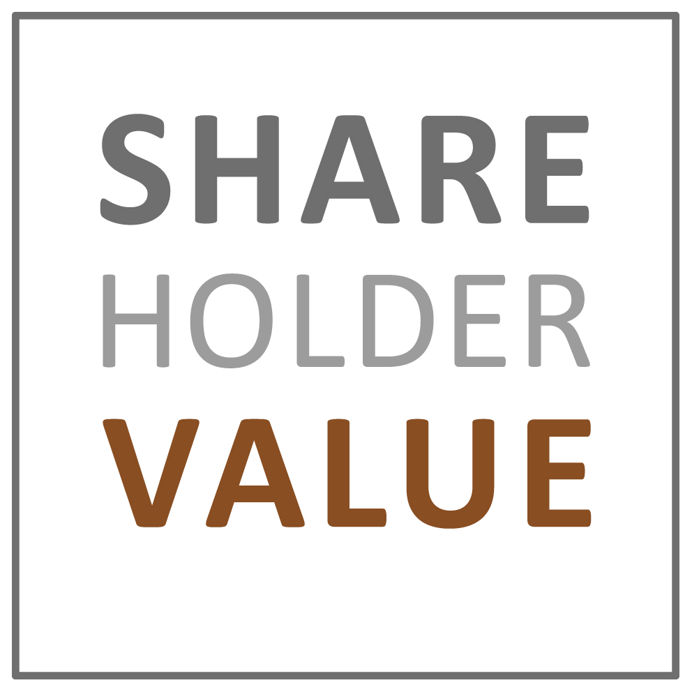 Shareholder Value Management AG